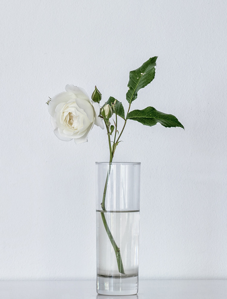 Vase types for flowers