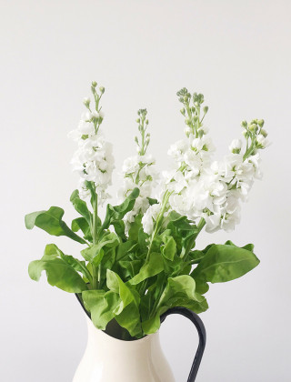 White Flowers vase