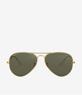 Sunglasses Gucci Gold Large